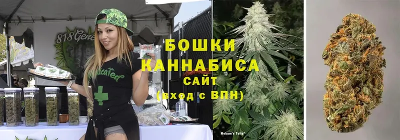 Бошки марихуана SATIVA & INDICA  Майский 